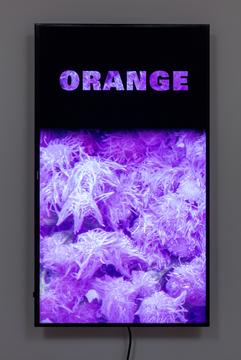 Orange 2