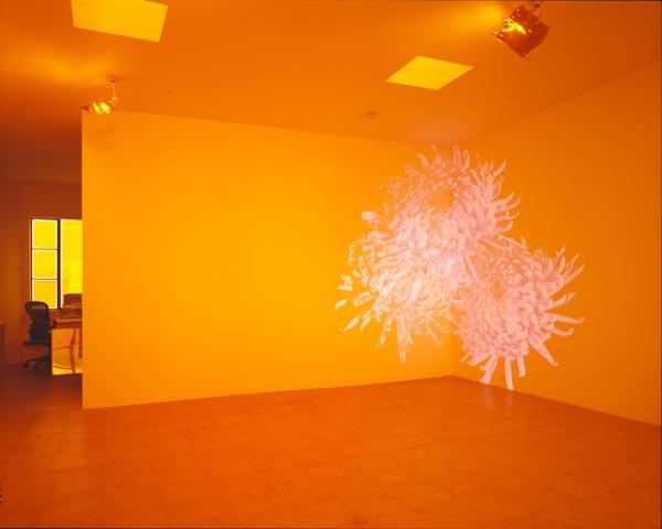 Orange Room (Wallflowers) , 2001 Three (3) video projectors, three (3) media players, Lee filters and existing architecture Dimensions variable Installation view, 1301PE, Los Angeles, CA, 2001