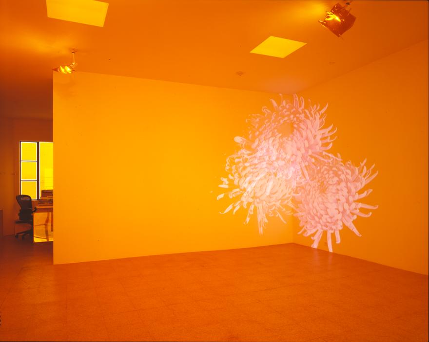 Orange Room (Wallflowers) , 2001 Three (3) video projectors, three (3) media players, Lee filters and existing architecture Dimensions variable Installation view, 1301PE, Los Angeles, CA, 2001 Photo by Fredrik Nilsen