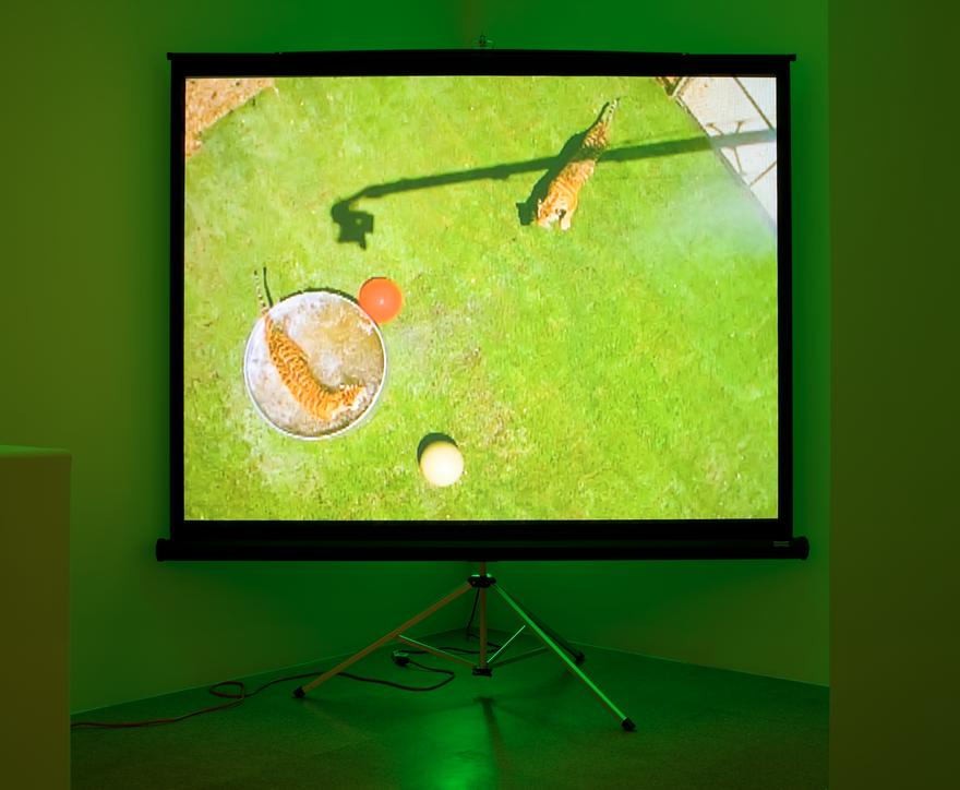 Perfect Devotion Five , 2008 One (1) video projector, one (1) media player, one (1) screen on a tripod, one (1) wooden chair, green gels and existing architecture Dimensions variable Installation view, 1301PE, Los Angels, 2008  Photo by Fredrik Nilsen