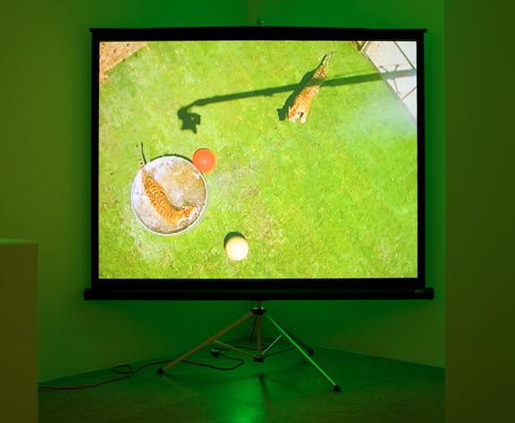 Perfect Devotion Five , 2008 One (1) digital projector, one (1) media player, one (1) screen on a tripod, one (1) wooden chair, green gels and existing architecture Dimensions variable Installation View, 1301PE, Los Angels, 2008 