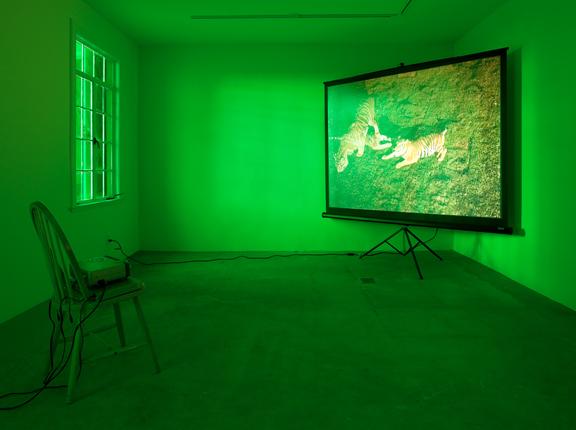 Perfect Devotion Four,  2005 One (1) digital projector, one (1) media player, one (1) screen on a tripod, one (1) wooden chair, green gels and existing architecture Dimensions variable Installation view, 1301PE, Los Angeles, 2008 