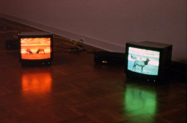 Pape's Pumpkin , 1994 Two (2) media players, two (2) video monitors Installation view, Portland Art Museum, Portland, OR, 1996