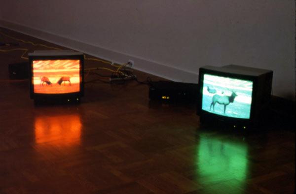 Pape's Pumpkin , 1994 Two (2) media players, two (2) video monitors Installation view, Portland Art Museum, Portland, OR, 1996