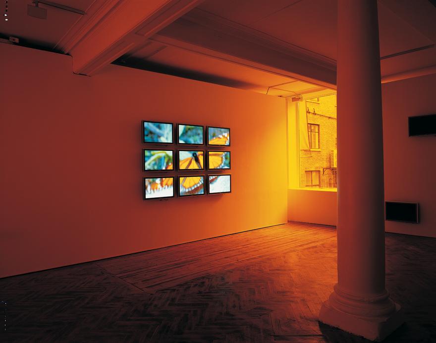 Perpetual Motion One , 2005 Nine (9) flat panel monitors, one (1) distribution amplifier, one (1) media players Installation view, Haunch of Venison, London, 2005 