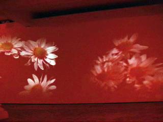 Pink Daisies, Amber Room, 2003 Two (2) video projectors, two (2) media players, Lee filters, mylar and existing architecture Dimensions variable Installation view, Haunch of Venison, 2003