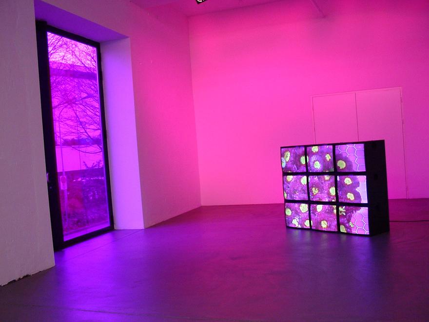 Purple Flowers Videowall, 2001 Nine (9) video monitors,  one (1) videowall processor, one (1) media player, and Lee filters Dimensions variable Installation view, Hauser & Wirth, Zurich, Switzerland, 2002