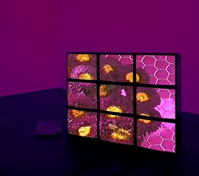 Purple Flower Video Wall