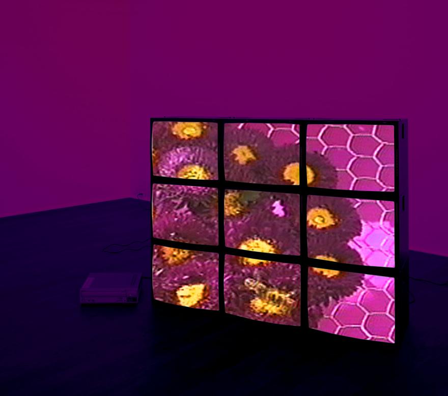 Purple Flowers Videowall, 2001 One (1) nine-monitor video wall, one (1) videowall processor, one (1) media player, Lee filters Dimensions variable Installation view, Hauser & Wirth, Zurich, Switzerland, 2002