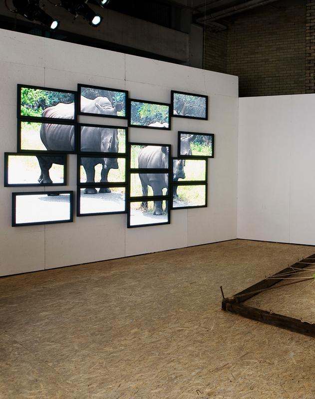 RARE,  2008 One (1) media player, sixteen (16) flat panel monitors, one (1) distribution amplifier Dimensions variable  Installation view, Here Today..., Old Sorting Office, London, United Kingdom, 2014  