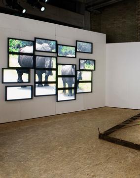 Rare Here Today Exhibition Low Res