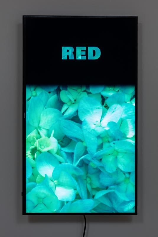 Colorvision Red , 2016 One (1) flat panel monitor, one (1) media player Dimensions variable Installation View, 1301PE, Los Angeles, 2016