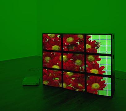 Red Flowers Videowall Web