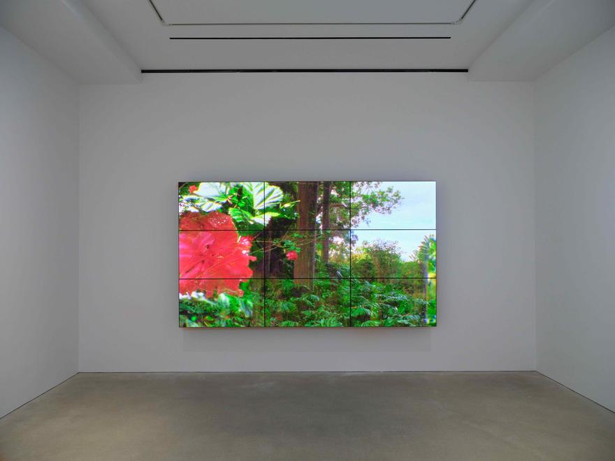 The Road to Hana Two , 2014 One (1) nine-monitor video wall  Installation view, David Zwirner Hong Kong, 2020