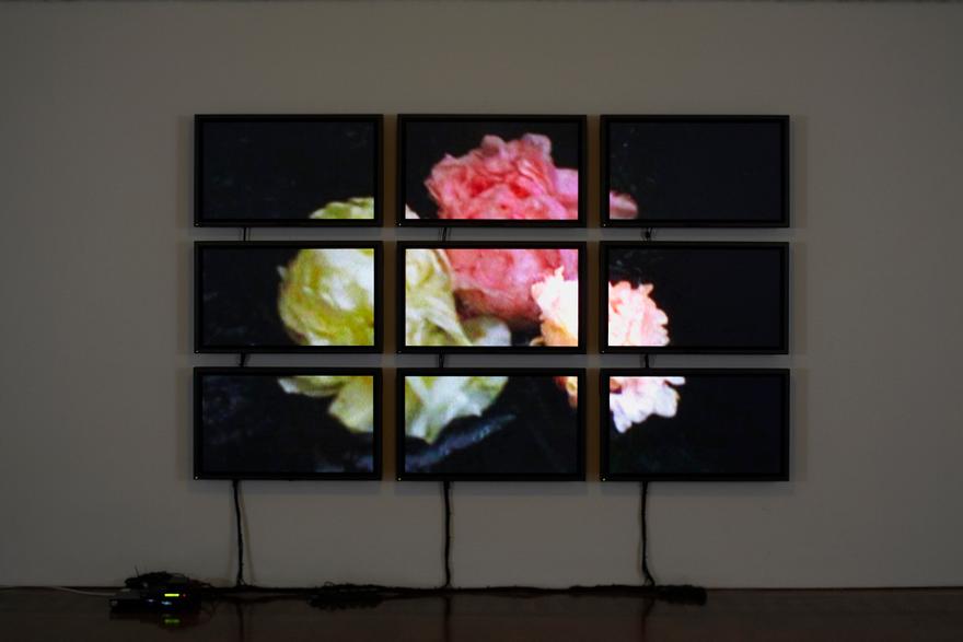 Peonies,  2011 Nine (9) video monitors, one (1) media player Dimensions variable Installation view, Hauser & Wirth, London, UK, 2011