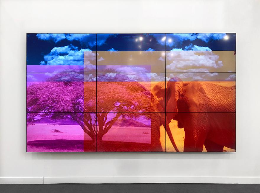 True Life Adventures (Videowall), 2019 Nine (9) monitor videowall 