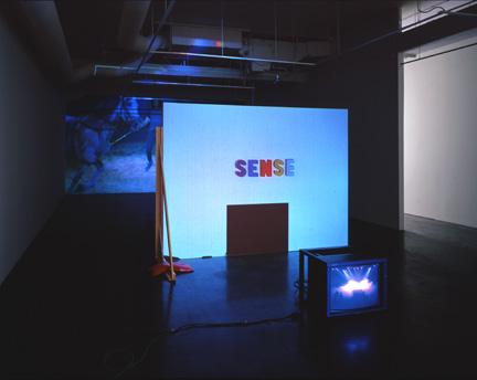 The best sense is the nonsense , 1998 Two (2) video projectors, one (1) video monitor, three (3) media players, free standing wall and existing architecture Installation view, York University Art Gallery, Toronto, Canada