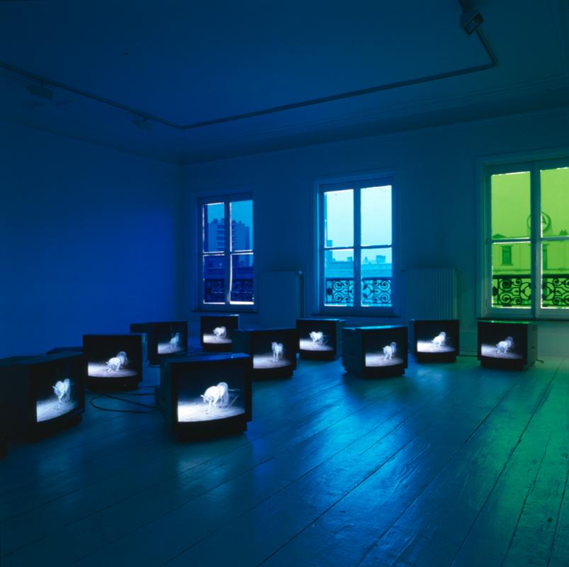 The best space is the deep space, monitor edition , 1998 One (1) video monitor, one (1) media player Ten (10) unique works Dimensions variable Installation view, H & R projects, Brussels, Belgium
