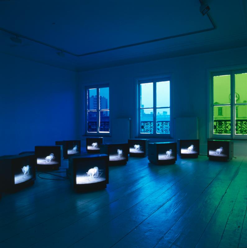 The best space is the deep space, monitor edition , 1998 One (1) video monitor, one (1) media player Ten (10) unique works Dimensions variable Installation view, H & R projects, Brussels, Belgium, 1999