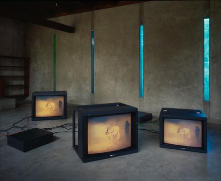 The Best Space Monitor Version