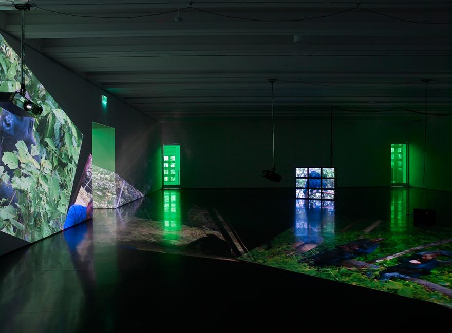 gorillagorillagorilla , 2009 Six (6) video projectors, two (2) video monitors, eight (8) media players, Lee filters and existing architecture Installation View, Aspen Art Museum, 2015  