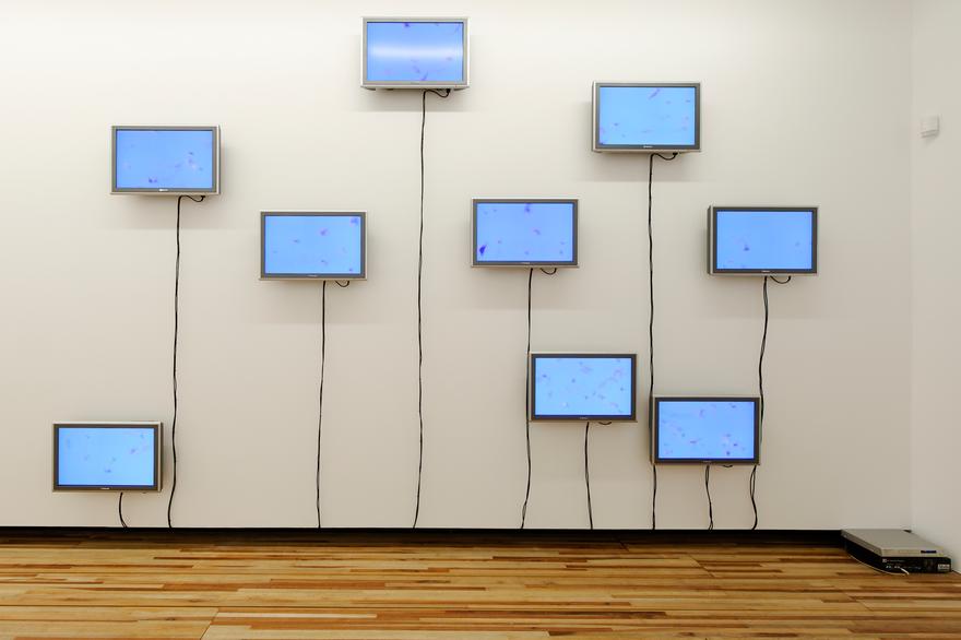 Perpetual Motion Two, 2005 Nine (9) flat panel monitors, one (1) distribution amplifier, one (1) media player Dimensions variable Installation view, The Vanmoerkerke Collection, Oostende, Belgium, 2009