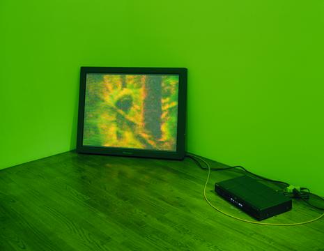Web Main Green Scan