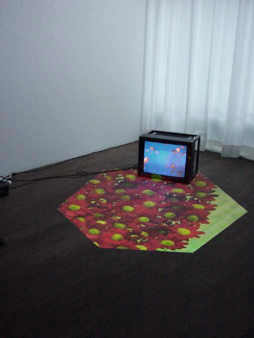 Untitled (Work for a private residence) , 2001 One (1) video projector, one (1) video monitor, two (2) media players  