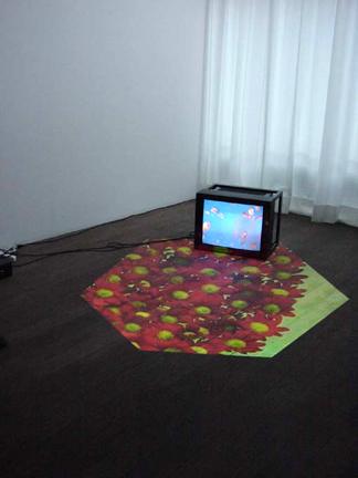 Untitled (Work for a private residence) , 2001 One (1) video projector, one (1) monitor, two (2) media players  