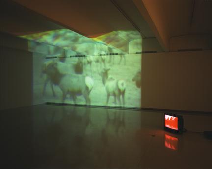 Wyoming Alogon, 1994 Three (3) video projectors, three (3) media players, one (1) synchronizers, Lee filters and existing architecture Dimensions variable Installation view, Walker Art Center, Minneapolis, MN, 1997