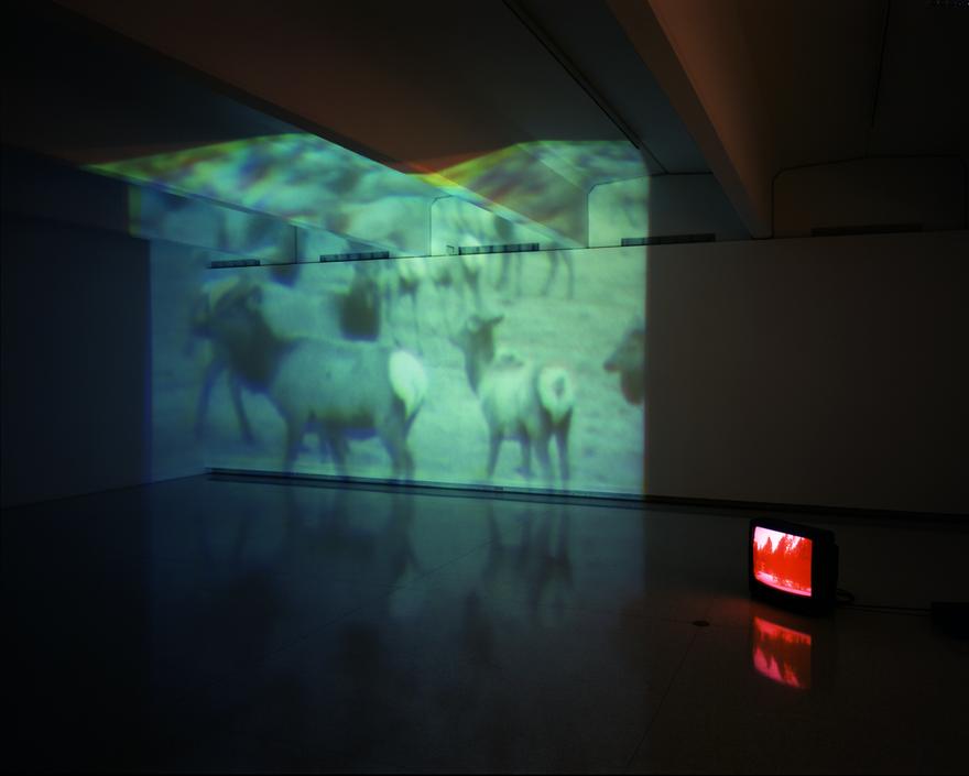 Wyoming Alogon, 1994 Three (3) video projectors, three (3) media players, one (1) synchronizers, Lee filters and existing architecture Dimensions variable Installation view, Walker Art Center, Minneapolis, MN, 1997