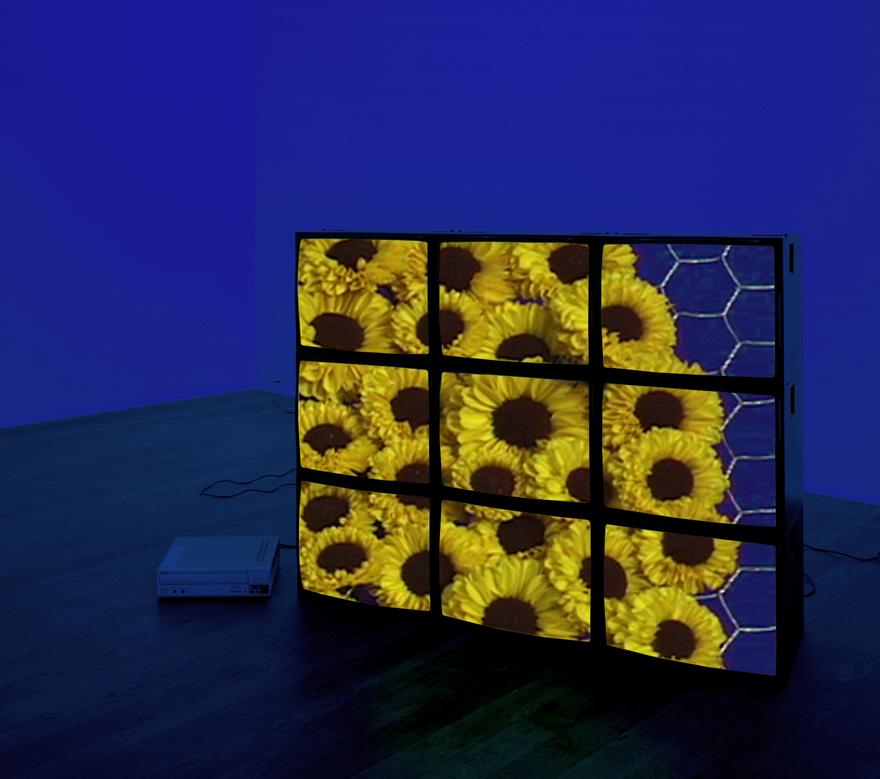 Yellow Flowers Videowall, 2001 Nine (9) video monitors,  one (1) media player, one (1) distribution amplifier, Lee filters