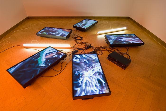 Untitled (Butterfly Videowall #2) , 2008 Five (5) flat screen LCD monitors, one (1) media player, one (1) distribution amplifier, two (2) fluorescent light fixtures, Lee filters and existing architecture Dimensions variable Installation View, Museum Krefeld, Krefeld Germany  