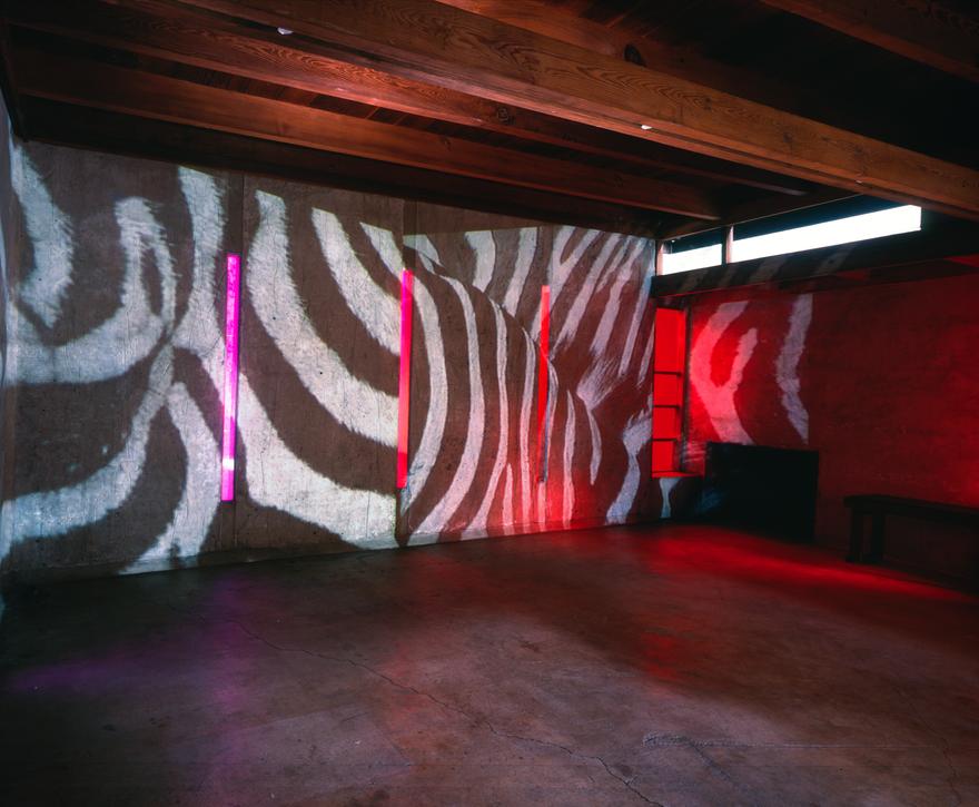 The best animals are the flat animals, version 2 , 1998 Two (2) video projectors, one (1) video monitor, two (2) media players, Lee Filters, existing architecture Installation View, MAK Center for the Art + Architecture, Los Angeles, CA, 1998 Photo by Fredrik Nilsen
