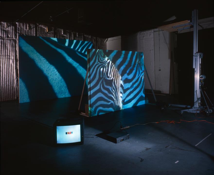 Bridget Riley made a painting , 1998 Two (2) video projectors, one (1) video monitor, three (3) media players, one (1) free standing wall, existing architecture Dimensions variable  Installation view, Los Angeles, CA Photo by Fredrik Nilsen 