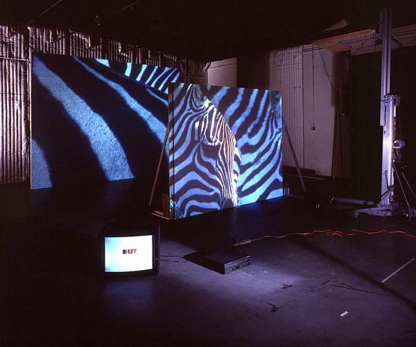 Bridget Riley made a painting , 1998 Two (2) video projectors, one (1) video monitor, three (3) media players, one (1) free standing wall, existing architecture Dimensions variable  Installation view, Los Angeles, CA Photo by Fredrik Nilsen 