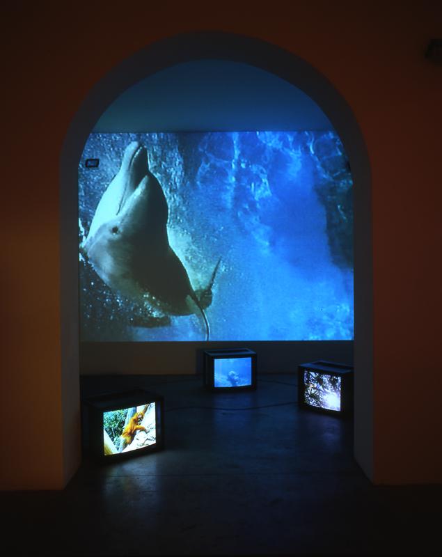 The Caucus Race , 1998 Two (2) video projectors, four (4) video monitors, six (6) media players, one (1) synchronizer and Lee Filters Installation view, Emi Fontana, Milan, Italy 2000