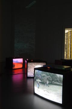 China Monitor Works 9
