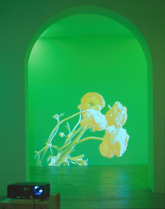Bastard Pink, 2002 One (1) video projector, one (1) media player, Lee Filters, existing architecture Installation view, Galleria Emi Fontana, Milano, 2002 