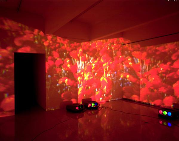 Wicked Witch , 1996 Five (5) video projectors, five (5) media players Dimensions variable Installation view, Orange County Museum of Art, Newport Beach, California, 2004