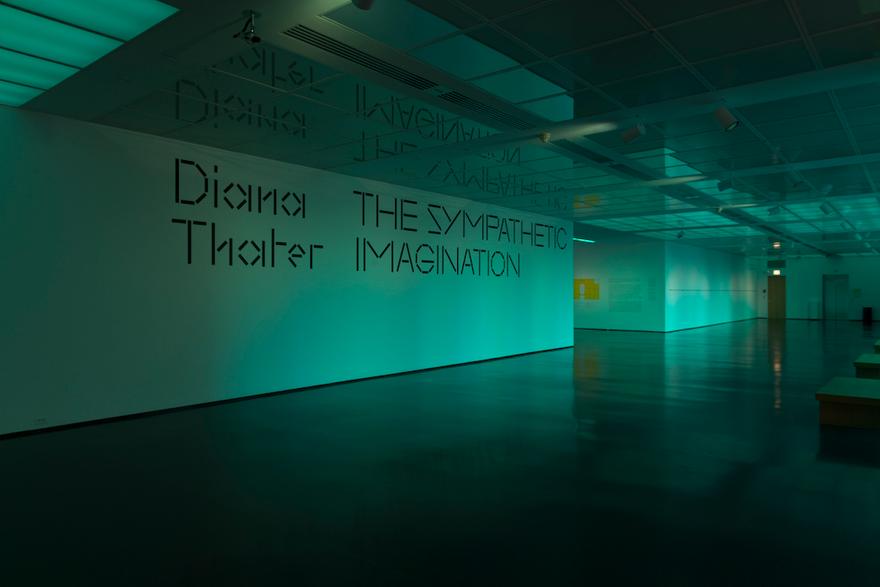 Exhibition Entrance Installation view, MCA, Chicago, Illinois, 2016