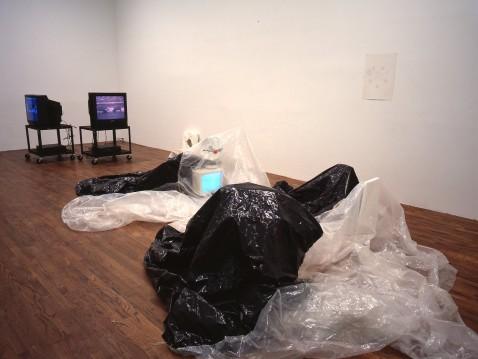 Stan Douglas, Jason Rhoades, Diana Thater, Franz West, Summer Group Show , 1994 Installation view, David Zwirner, New York NY, 1994 